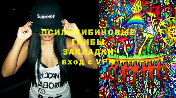 спайс Алзамай